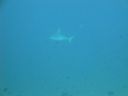 DSC00092.JPG