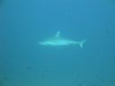 DSC00094.JPG