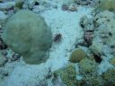 DSC00103.JPG