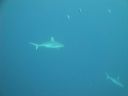 DSC00105.JPG