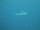 DSC00106.JPG