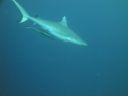 DSC00114.JPG