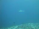 DSC00116.JPG