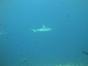 DSC00122.JPG