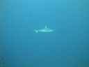 DSC00123.JPG