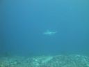 DSC00150.JPG