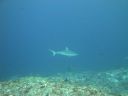 DSC00162.JPG