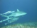 DSC00173.JPG