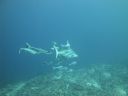 DSC00174.JPG