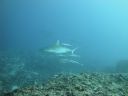 DSC00179.JPG