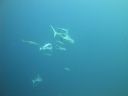 DSC00187.JPG