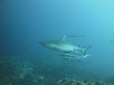 DSC00190.JPG