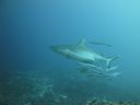 DSC00191.JPG