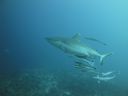 DSC00192.JPG