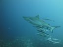 DSC00193.JPG