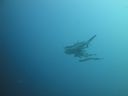 DSC00210.JPG