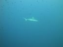 DSC00225.JPG
