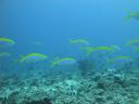 DSC00250.JPG