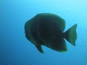 DSC00255.JPG