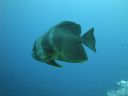 DSC00259.JPG