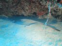DSC00264.JPG