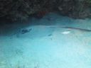 DSC00265.JPG