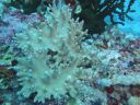 DSC00269.JPG