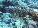 DSC00274.JPG