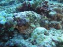 DSC00275.JPG