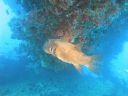 DSC00283.JPG