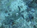 DSC00285.JPG