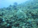 DSC00286.JPG
