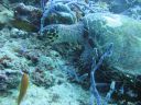 DSC00288.JPG
