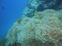 DSC00290.JPG