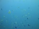 DSC00538.JPG