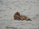 DSC00547.JPG