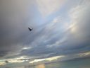 DSC00558.JPG