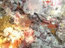 DSC00567.JPG