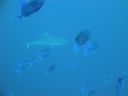 DSC00573.JPG