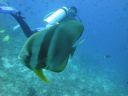 DSC00574.JPG
