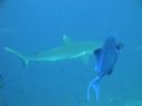 DSC00576.JPG