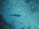 DSC00583.JPG