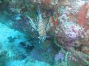 DSC00643.JPG