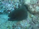 DSC00644.JPG
