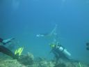 DSC00676.JPG