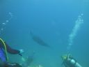 DSC00677.JPG