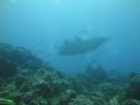 DSC00679.JPG