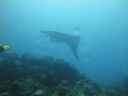 DSC00682.JPG