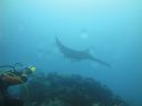 DSC00685.JPG