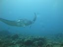 DSC00690.JPG